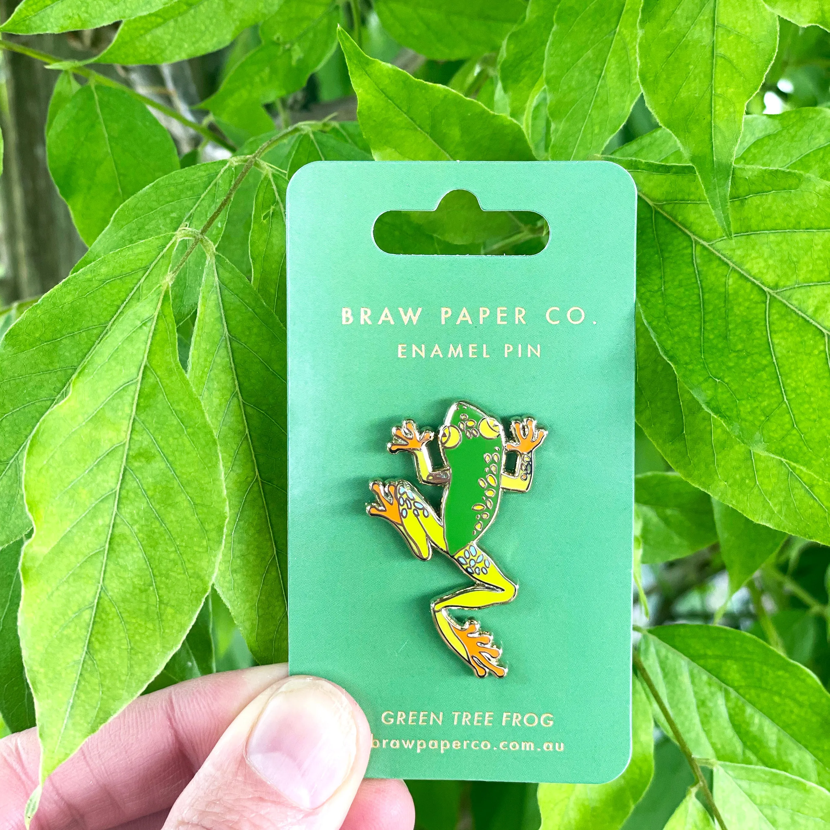 Green Tree Frog Enamel Pin